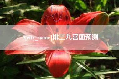 锡林郭勒排三九宫图预测