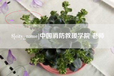 锡林郭勒中国消防救援学院 老师
