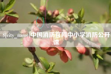锡林郭勒中国消防官网中小学消防公开课