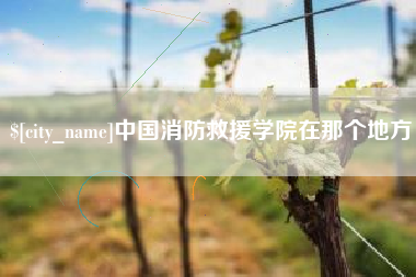 锡林郭勒中国消防救援学院在那个地方