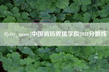 锡林郭勒中国消防救援学院2018分数线