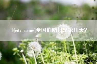 锡林郭勒全国消防日是第几天？
