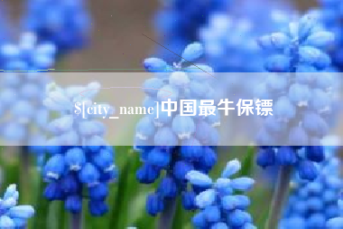 锡林郭勒中国最牛保镖