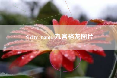 锡林郭勒九宫格龙图片