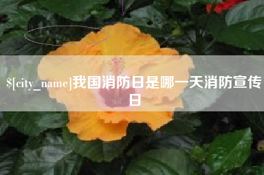 锡林郭勒我国消防日是哪一天消防宣传日