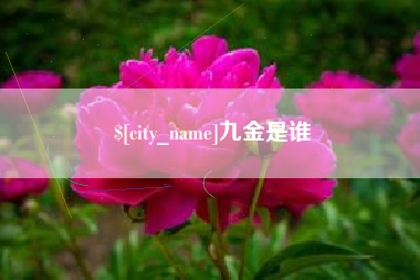 锡林郭勒九金是谁