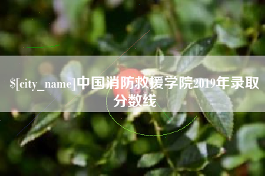 锡林郭勒中国消防救援学院2019年录取分数线
