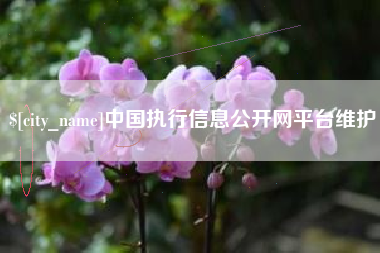 锡林郭勒中国执行信息公开网平台维护