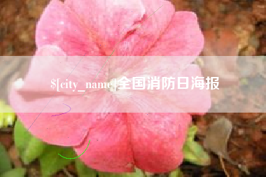 锡林郭勒全国消防日海报