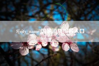 锡林郭勒国家消防报名入口