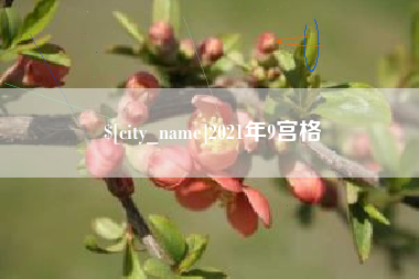 锡林郭勒2021年9宫格
