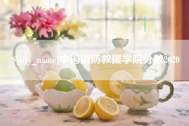锡林郭勒中国消防救援学院分数2020