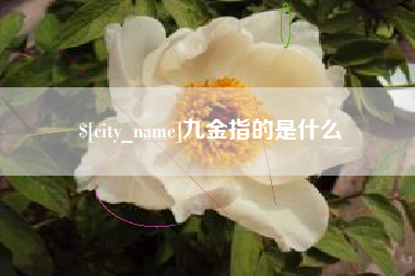 锡林郭勒九金指的是什么