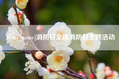锡林郭勒消防日全国消防日主题活动