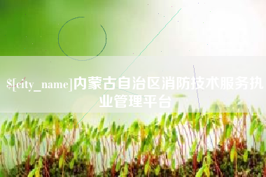 锡林郭勒内蒙古自治区消防技术服务执业管理平台