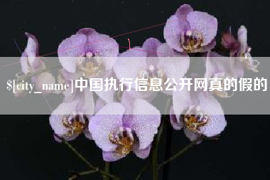 锡林郭勒中国执行信息公开网真的假的
