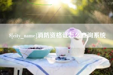 锡林郭勒消防资格证怎么查询系统