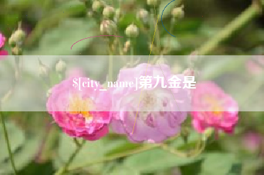 锡林郭勒第九金是
