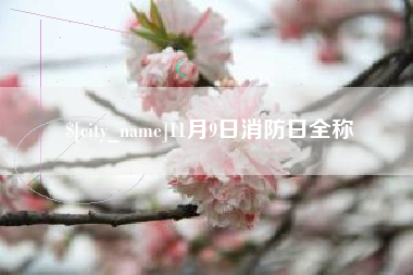 锡林郭勒11月9日消防日全称
