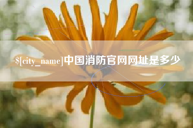 锡林郭勒中国消防官网网址是多少