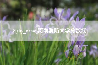 锡林郭勒河南消防大学分数线