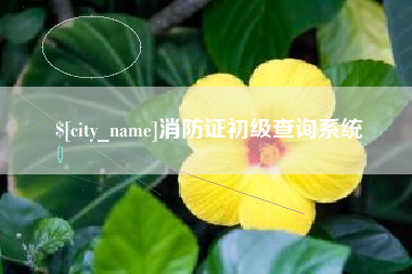 锡林郭勒消防证初级查询系统