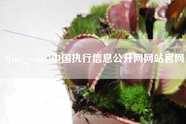 锡林郭勒中国执行信息公开网网站官网