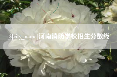 锡林郭勒河南消防学校招生分数线
