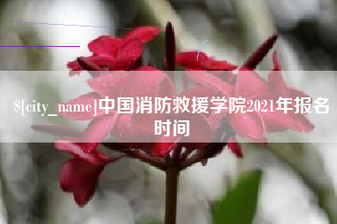 锡林郭勒中国消防救援学院2021年报名时间