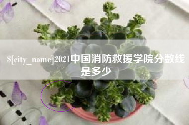 锡林郭勒2021中国消防救援学院分数线是多少