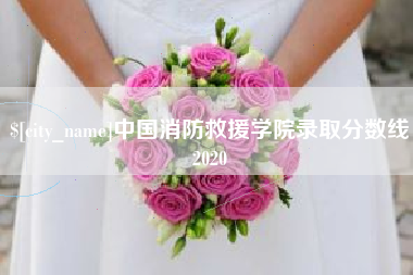 锡林郭勒中国消防救援学院录取分数线2020