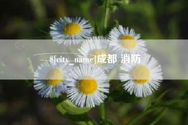 锡林郭勒成都 消防
