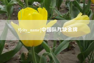 锡林郭勒中国队九块金牌