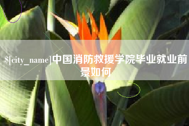 锡林郭勒中国消防救援学院毕业就业前景如何
