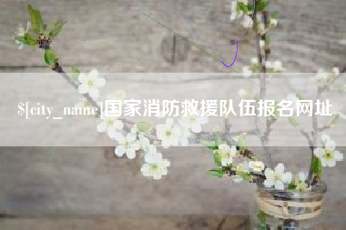 锡林郭勒国家消防救援队伍报名网址