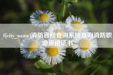 锡林郭勒消防官网查询系统查询消防职业资格证书