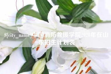 锡林郭勒中国消防救援学院2020年在山东招生计划表