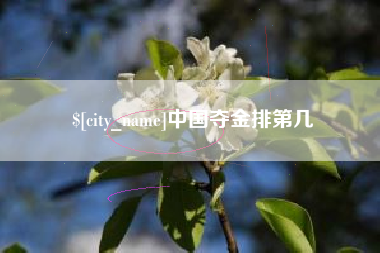 锡林郭勒中国夺金排第几
