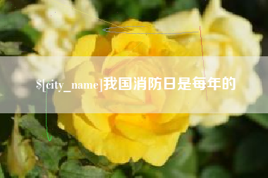 锡林郭勒我国消防日是每年的