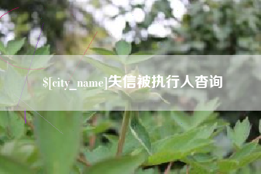 锡林郭勒失信被执行人杳询