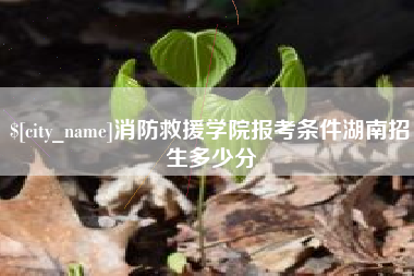 锡林郭勒消防救援学院报考条件湖南招生多少分