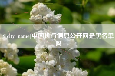 锡林郭勒中国执行信息公开网是黑名单吗