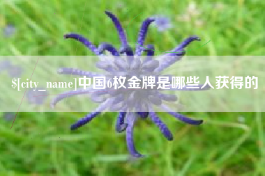 锡林郭勒中国6枚金牌是哪些人获得的