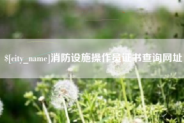 锡林郭勒消防设施操作员证书查询网址