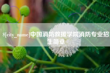 锡林郭勒中国消防救援学院消防专业招生简章