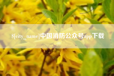 锡林郭勒中国消防公众号app下载