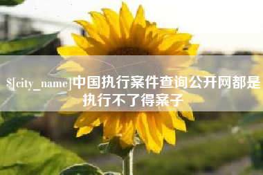 锡林郭勒中国执行案件查询公开网都是执行不了得案子
