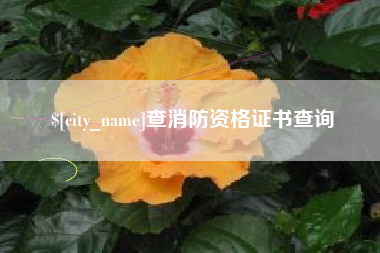 锡林郭勒查消防资格证书查询