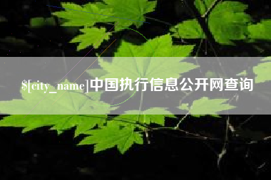 锡林郭勒中国执行信息公开网查询