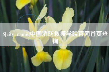 锡林郭勒中国消防救援学院官网首页查询